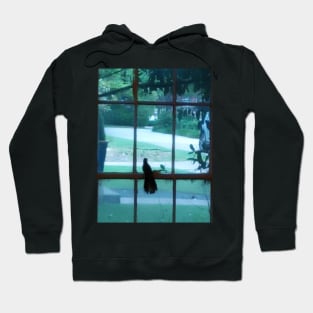 To sit a Mockingbird Hoodie